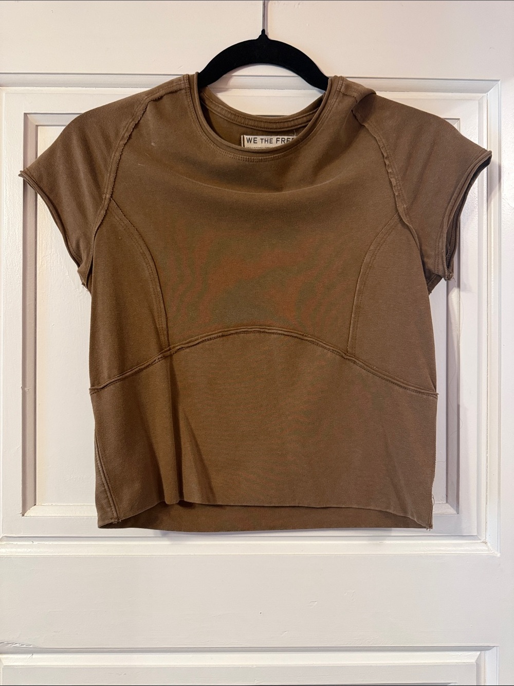 Free People Brown Cropped Short Sleeve Tee